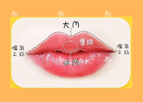 M唇的样子