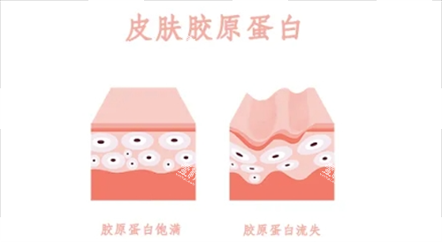 胶原蛋白在皮肤表面的动画示意图