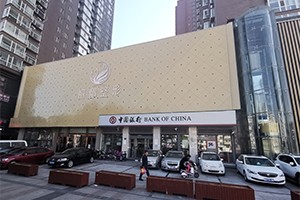 太原丽都整形