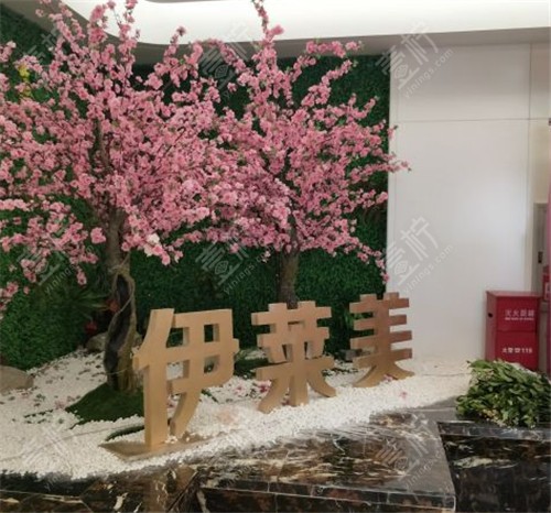 宜昌伊莱美整形环境图