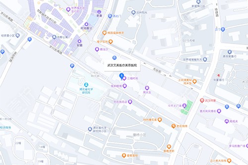武汉艾美地图位置