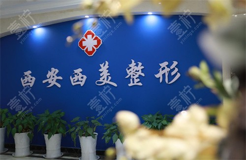 西安西美医疗美容logo
