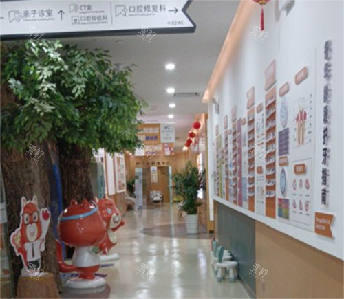 云南昆明松鼠口腔走廊环境图