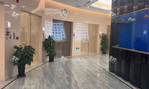 北京劲松口腔（望京院）走廊环境